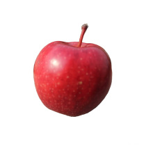 Red delicious apple manufacturers